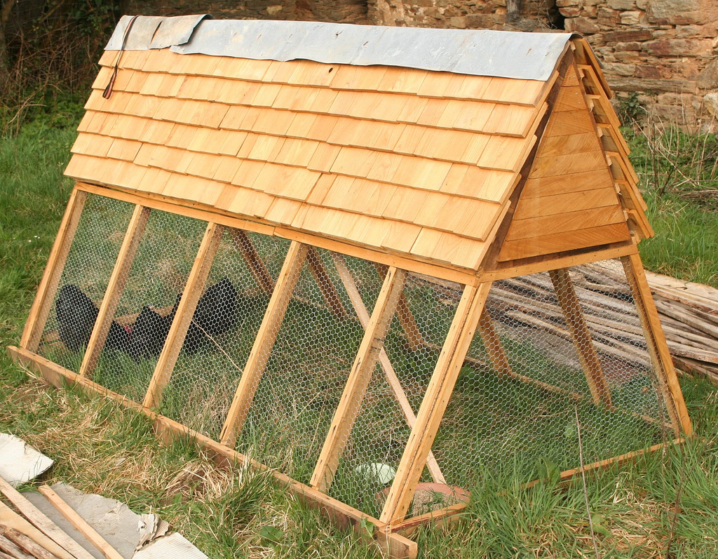 What’s a chicken ark? It’s a moveable chicken coop that doesn’t ...