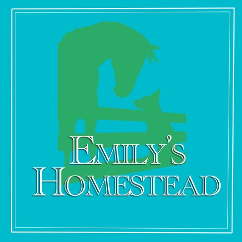 Emily's Homestead Logo Teal and Green