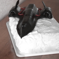 The Boys Wanted an SR-71 Cake . . . 